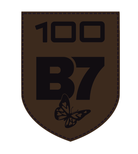 Écussons 100B7