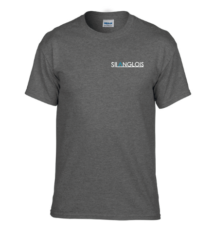 Unisex CVC T-Shirt - Gris