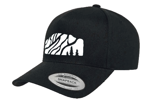 Casquette Palette Courbé